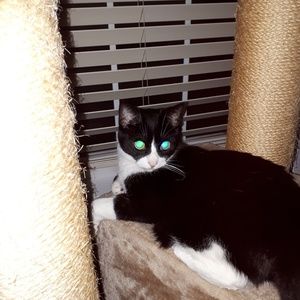 Meet your Posher, Marlena